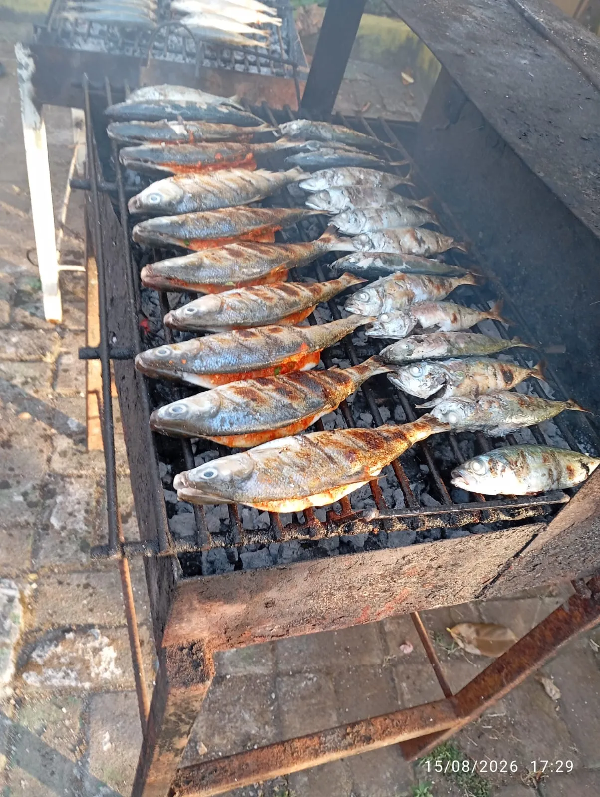 IMG-20260819-WA0041